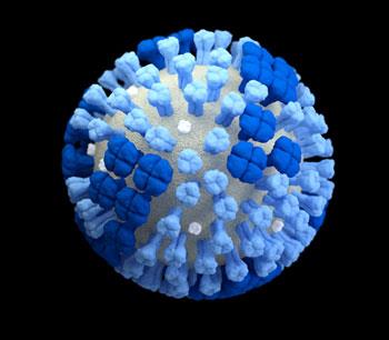 flu virus 