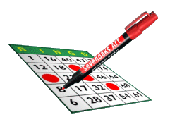bingo 