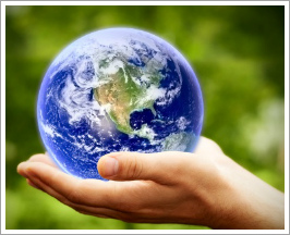 Environmental Science 
